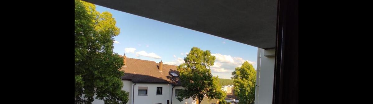 Apartment Panorama Швейнфурт Экстерьер фото