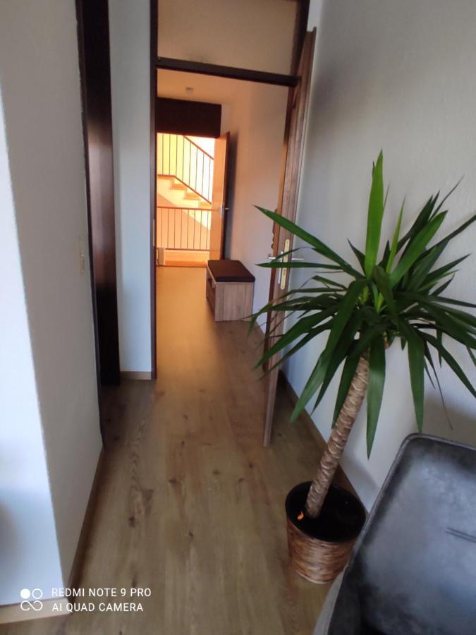 Apartment Panorama Швейнфурт Экстерьер фото